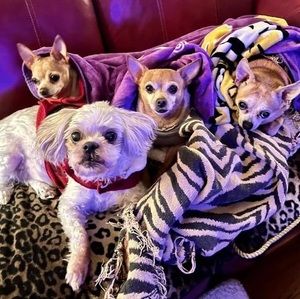 Meet your Posher, Greg